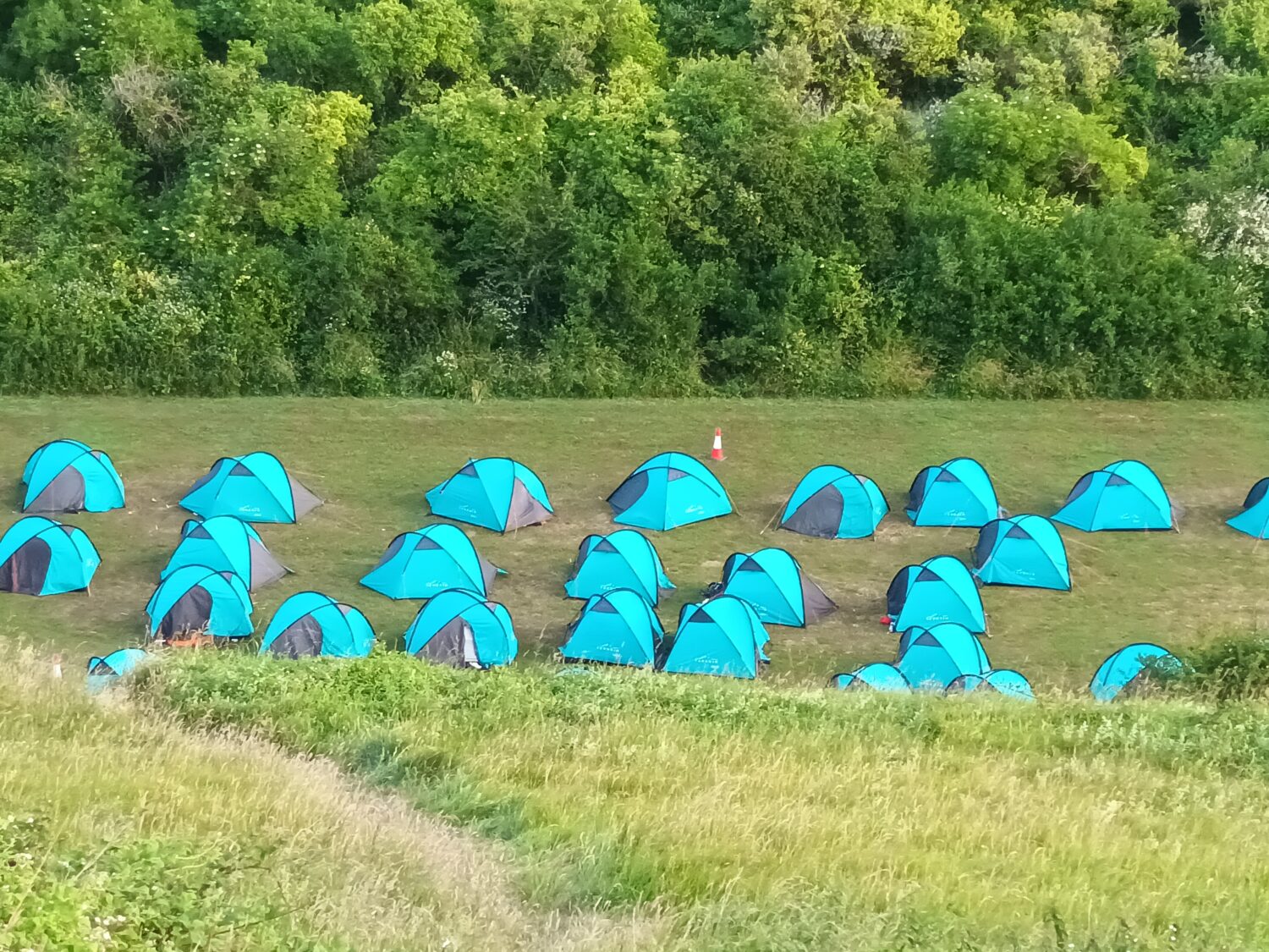 A group of tents full of students in a field surrounded by trees