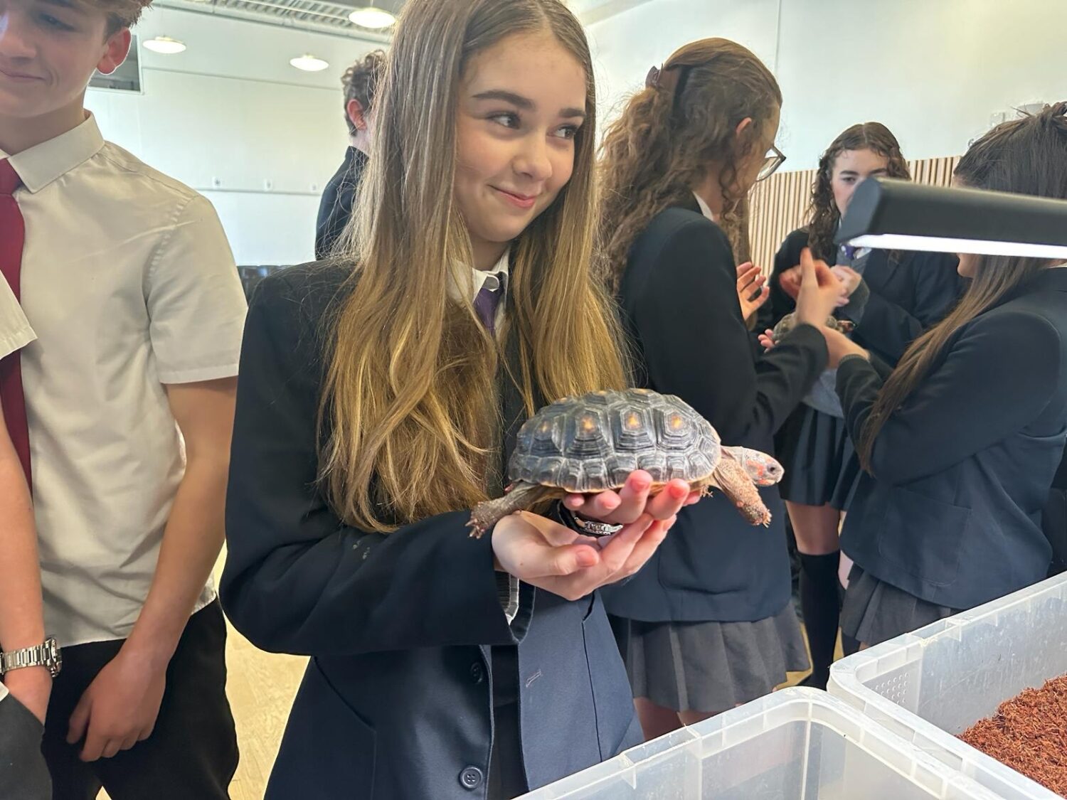Student holding tortoise in a crowd of people
